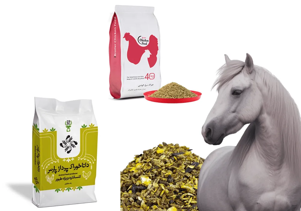 چرادیجی فید؟